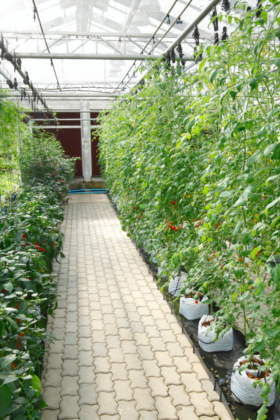indoor hydroponic garden tower